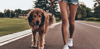 13 benefícios de caminhar todos os dias