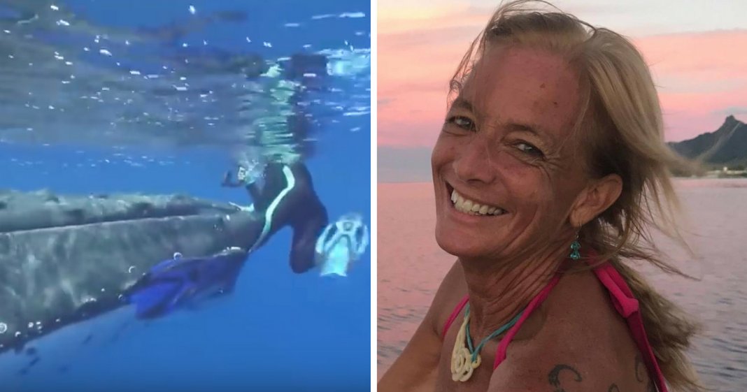 Baleia salva mulher de ataque de tubarão