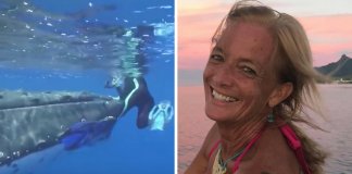 Baleia salva mulher de ataque de tubarão