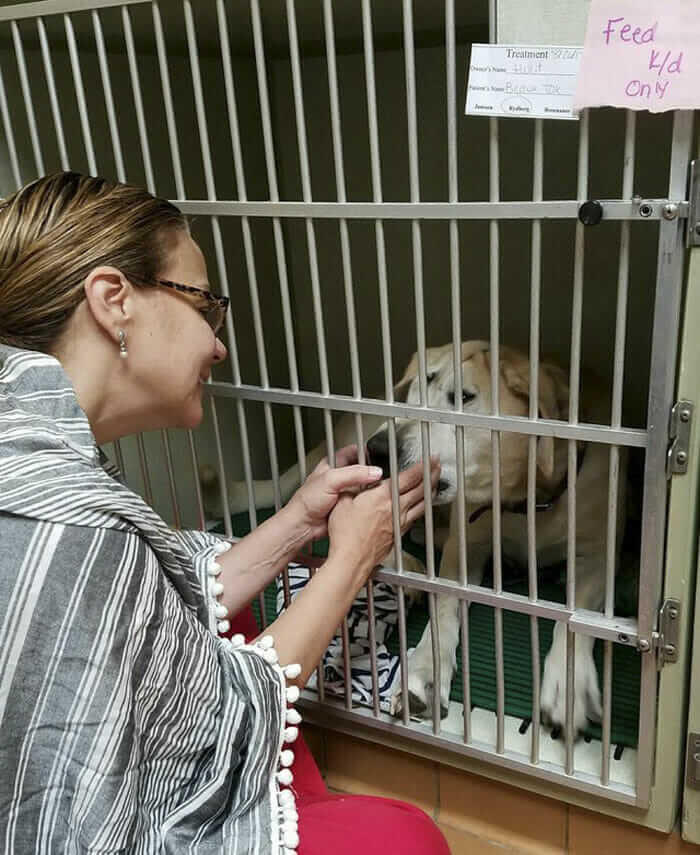 inspiringlife.pt - Cachorro abandonado pelo seu focinho "feio" é finalmente adoptado