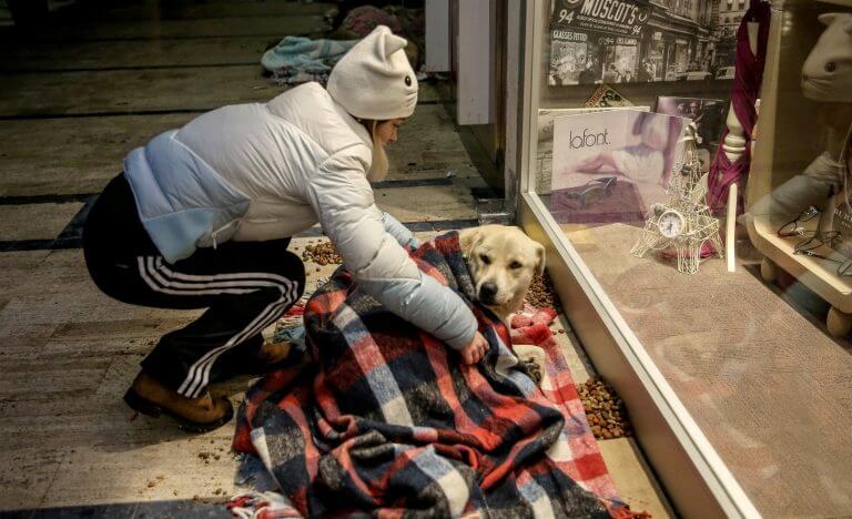 inspiringlife.pt - Centro comercial na Turquia deixa os cachorros dormirem no seu interior para escaparem ao frio