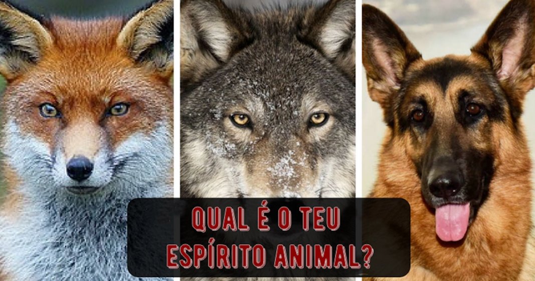 TESTE: De que espírito animal és feita(o)?