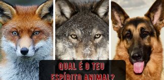 TESTE: De que espírito animal és feita(o)?