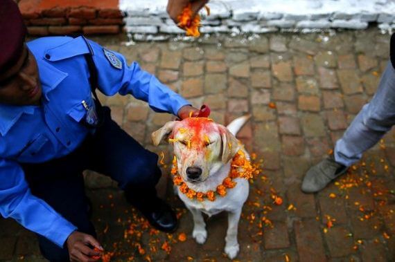 inspiringlife.pt - Tihar - um festival hindu que homenageia os cachorros
