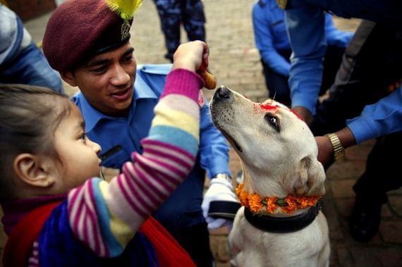 inspiringlife.pt - Tihar - um festival hindu que homenageia os cachorros