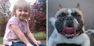 Cadela pit bull permaneceu dois dias junto de menina desaparecida