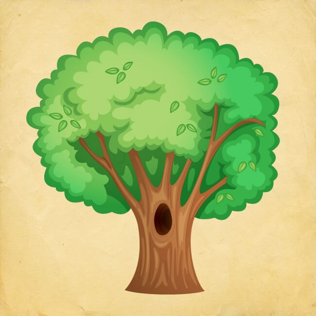 inspiringlife.pt - Escolhe uma árvore e descobre o que poderás esperar nos próximos 12 meses