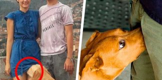 Porque é que os cães cheiram as nossas partes íntimas?