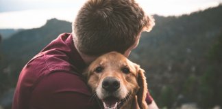 A partida de um animal de estimação dói tanto quanto a de um familiar