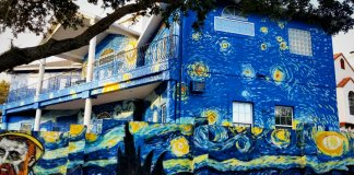 Casal pinta casa com ‘A Noite Estrelada’, de Van Gogh para ajudar filho autista