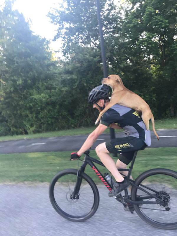 inspiringlife.pt - Ciclista resgata cachorro que precisava desesperadamente de ajuda