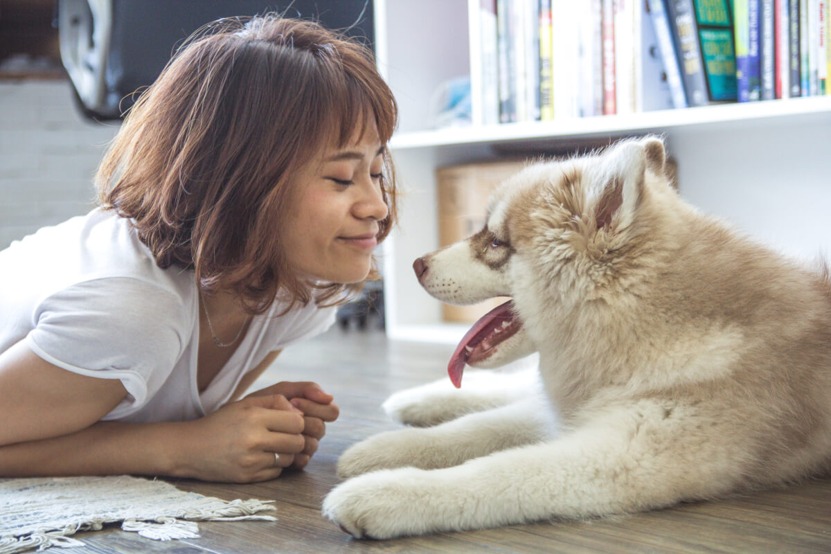 inspiringlife.pt - Segundo estudo, amor entre cachorro e dono é o mesmo de mãe e filho