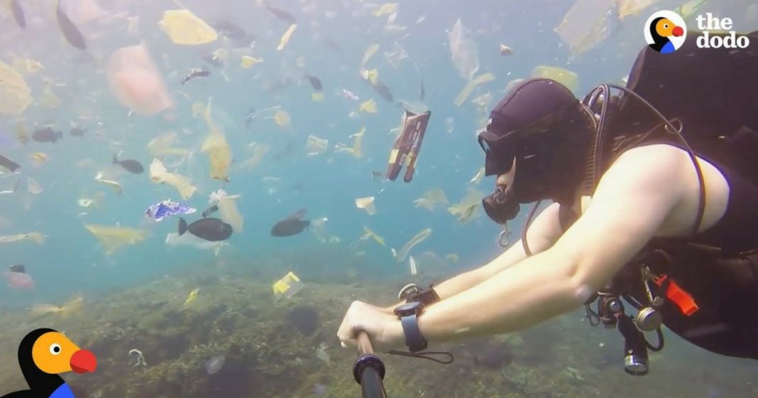 O plástico está a dominar os nossos oceanos