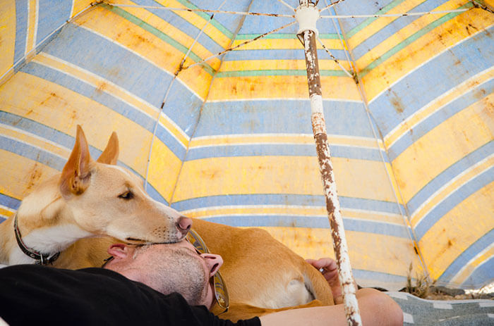 inspiringlife.pt - As melhores fotos de cachorros de 2018 já foram anunciadas