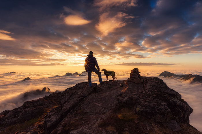 inspiringlife.pt - As melhores fotos de cachorros de 2018 já foram anunciadas