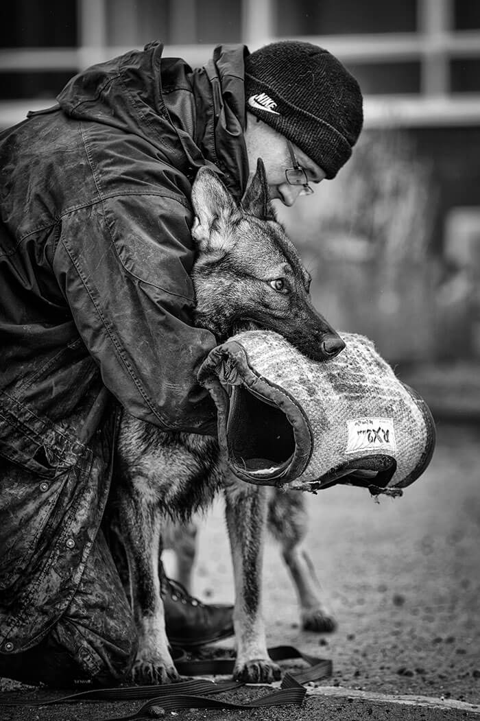 inspiringlife.pt - As melhores fotos de cachorros de 2018 já foram anunciadas