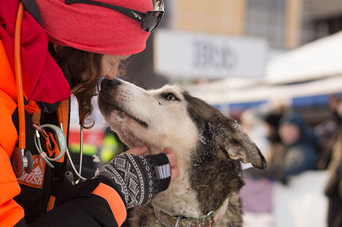 inspiringlife.pt - As melhores fotos de cachorros de 2018 já foram anunciadas