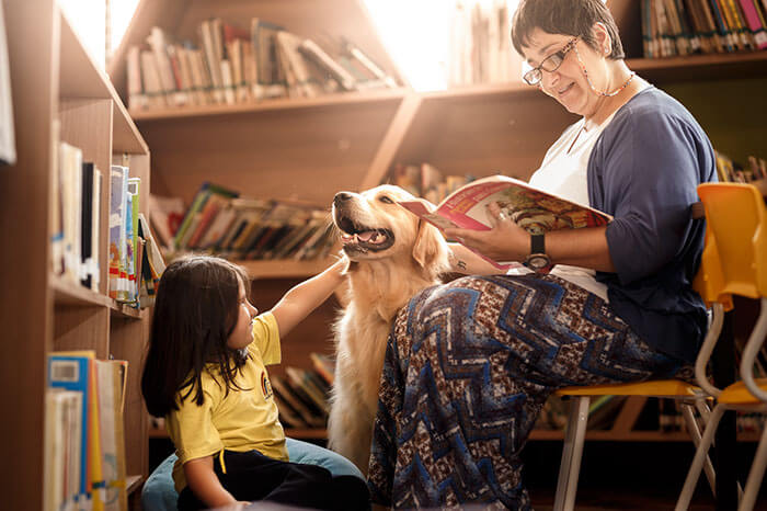 inspiringlife.pt - As melhores fotos de cachorros de 2018 já foram anunciadas