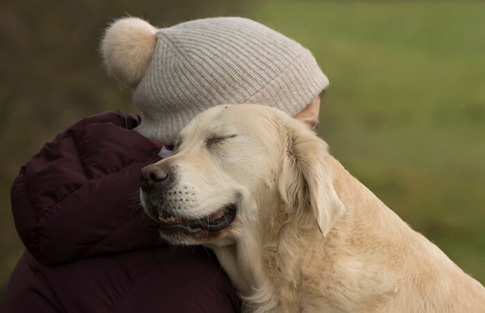 inspiringlife.pt - As melhores fotos de cachorros de 2018 já foram anunciadas