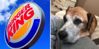 Burger King oferece hambúrgueres todos os dias a cachorro com doença terminal