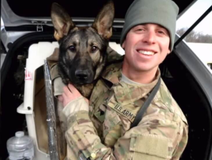 inspiringlife.pt - Cachorro soldado é adoptado por militar após três anos separados