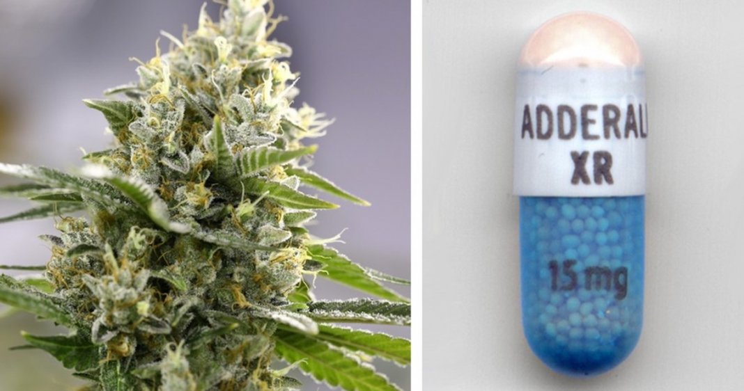 Cannabis é melhor do que Adderall no tratamento de Transtorno do Déficit de Atenção