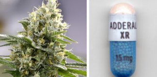 Cannabis é melhor do que Adderall no tratamento de Transtorno do Déficit de Atenção