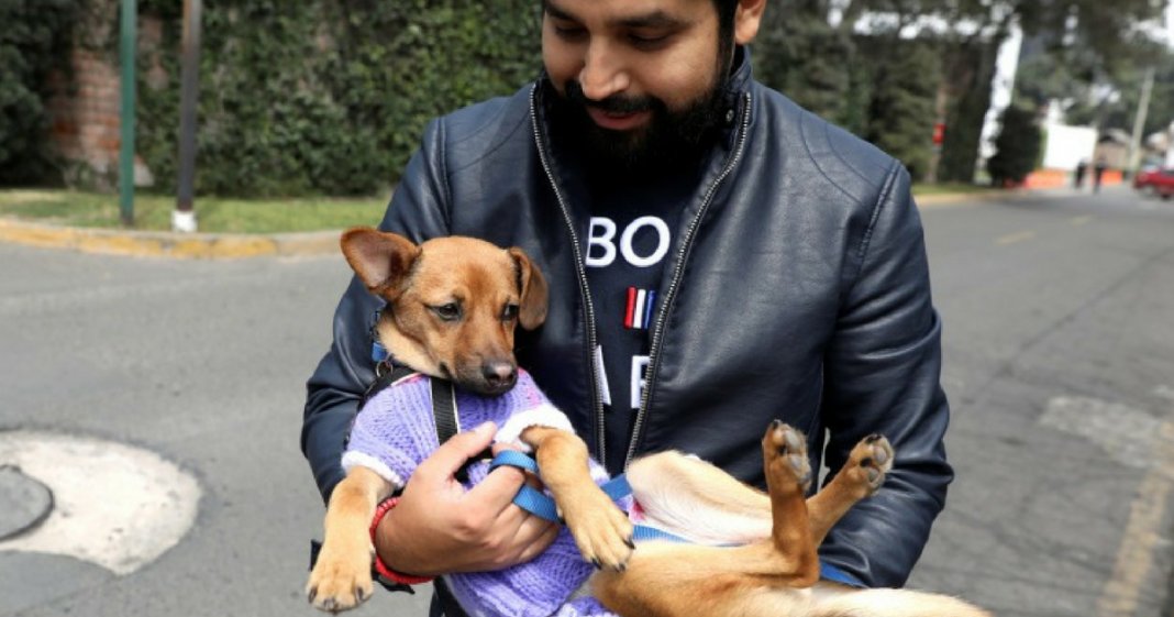 Fã de futebol retorna à Rússia para resgatar um cachorro da rua que conheceu na Copa do Mundo