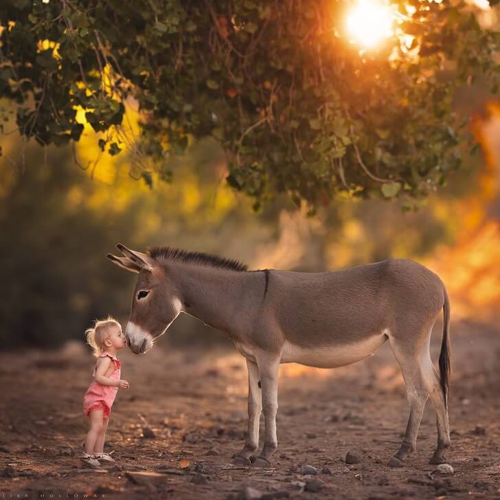 inspiringlife.pt - Fotógrafa realiza sessão fotográfica divinal com os seus 11 filhos