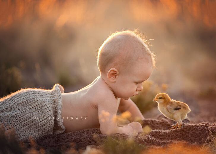 inspiringlife.pt - Fotógrafa realiza sessão fotográfica divinal com os seus 11 filhos