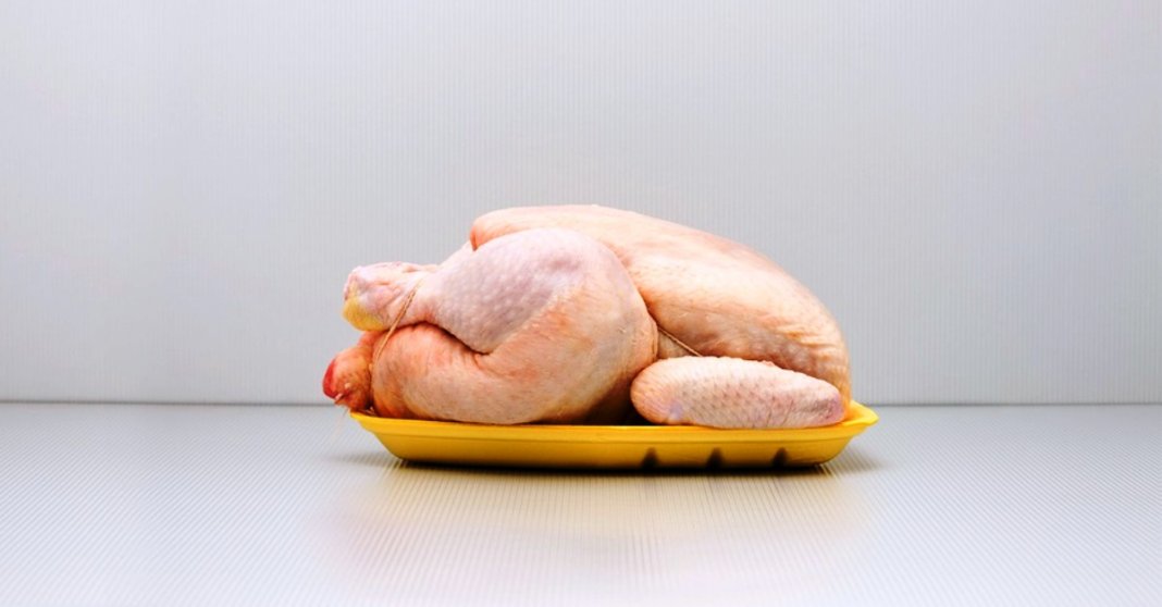 Frango é mais prejudicial à saúde do que qualquer outro alimento