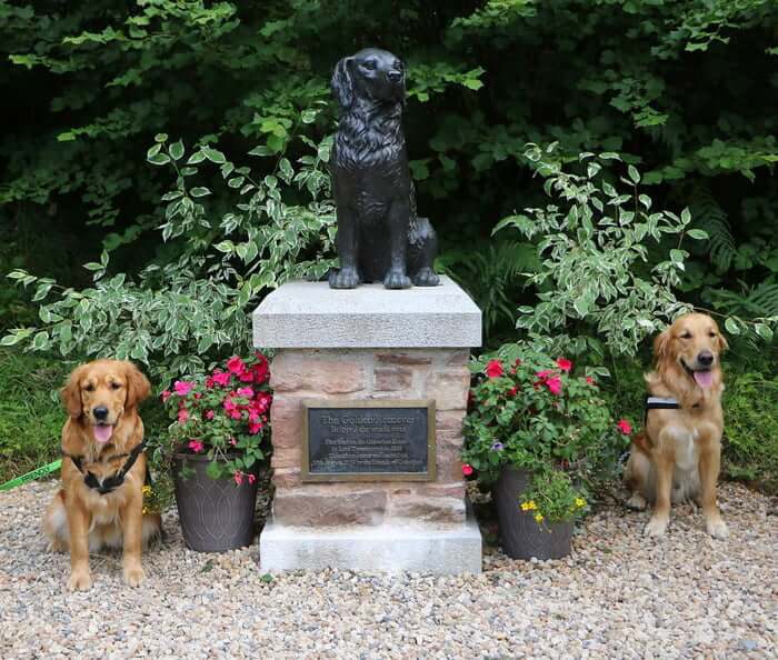 inspiringlife.pt - 361 Golden Retrievers encontram-se na Escócia num dos maiores encontros da raça