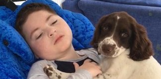 Mãe partilha um vídeo do seu filho incapacitado com o seu novo cachorrinho