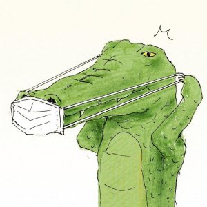 inspiringlife.pt - 24 problemas de um crocodilo retratados em hilariantes ilustrações