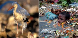 27 fotos que te vão deixar com vontade de começar a reciclar