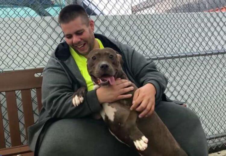 inspiringlife.pt - Homem conduz mais de 4000 km's para salvar Pitbull de destino terrível