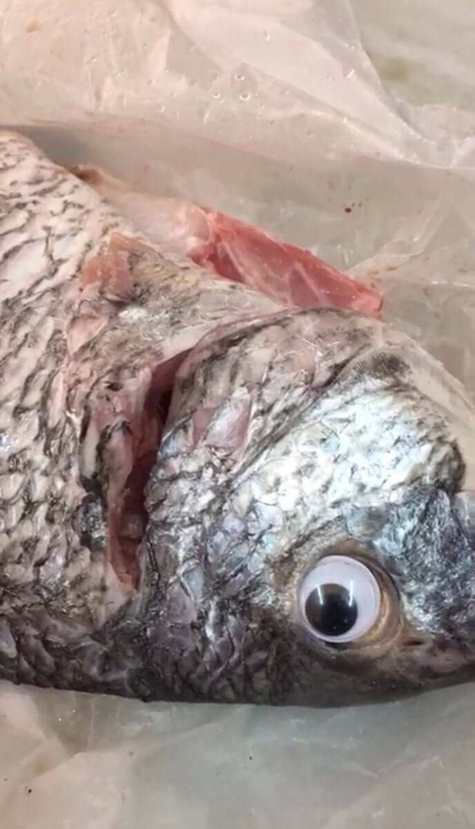 inspiringlife.pt - Loja apanhada a colocar olhos falsos nos peixes para parecerem mais frescos