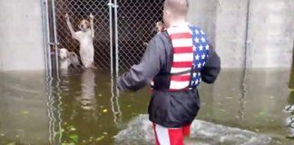 Voluntário resgatou 6 cães abandonados numa jaula trancada durante o furacão Florence