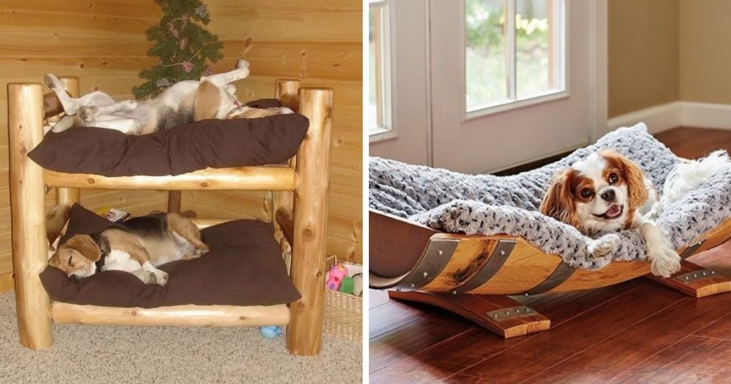 18 ideias de camas para cachorros fantásticas e bem originais