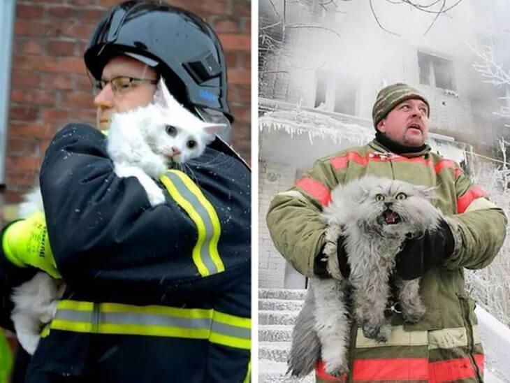 inspiringlife.pt - 15 animais rebeldes apanhados em flagrante