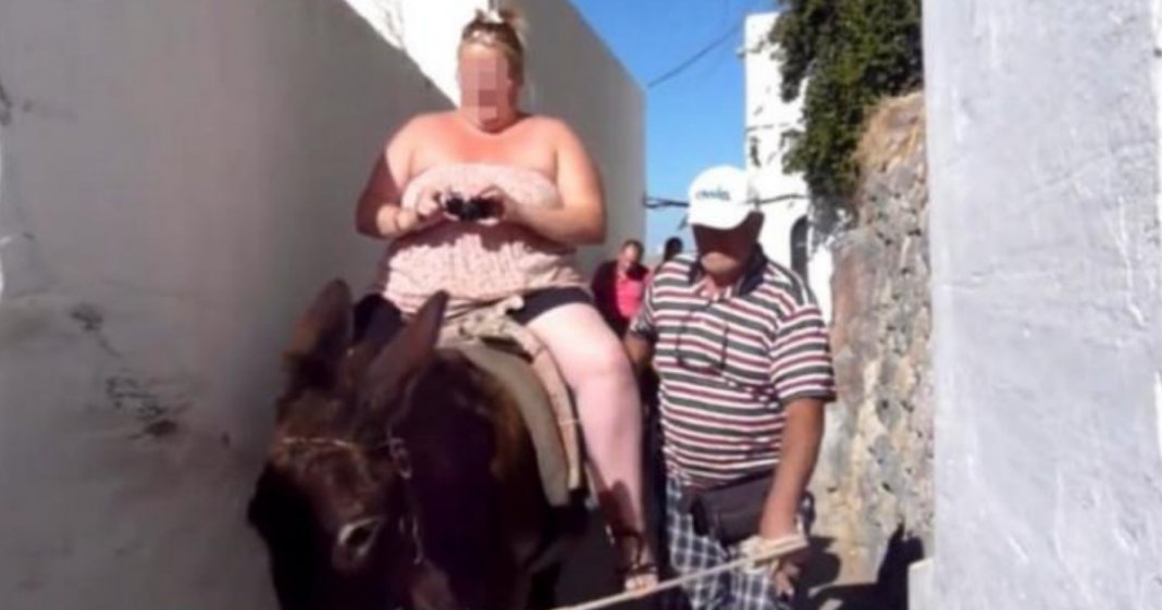 Governo grego proíbe turistas pesados ​​de andar nos burros
