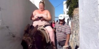 Governo grego proíbe turistas pesados ​​de andar nos burros