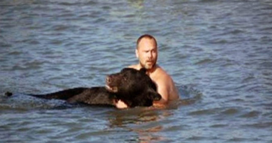 Homem salva urso de 180 kg de se afogar