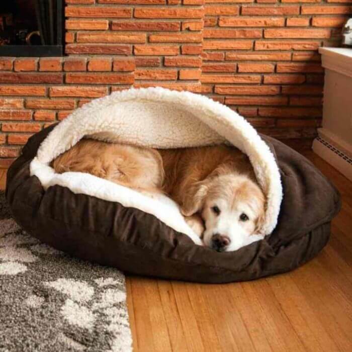 inspiringlife.pt - 18 ideias de camas para cachorros fantásticas e bem originais