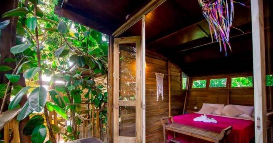 Já podes dormir e relaxar numa casa na árvore em hostel brasileiro