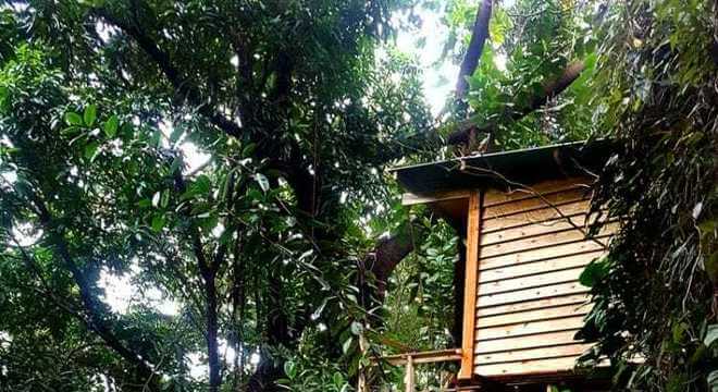 inspiringlife.pt - Já podes dormir e relaxar numa casa na árvore em hostel brasileiro