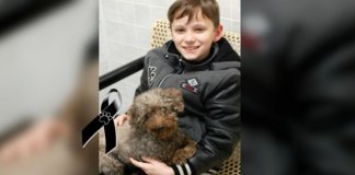 Menino adoptou cachorro doente e cego por ser o mais velho do abrigo