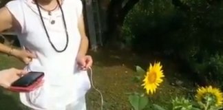 Mulher grava o som incrível do seu girassol e partilha com o resto do Mundo