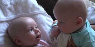 Pai apanha filhos bebés gémeos a terem conversa adorável