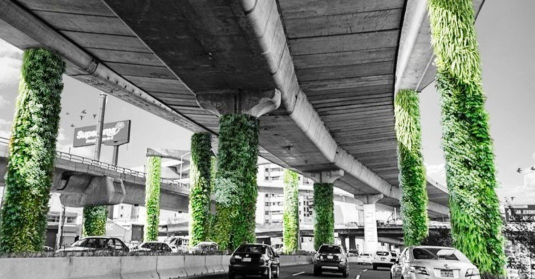Para melhorar o ar a cidade do México transforma pilares de viadutos em jardins verticais